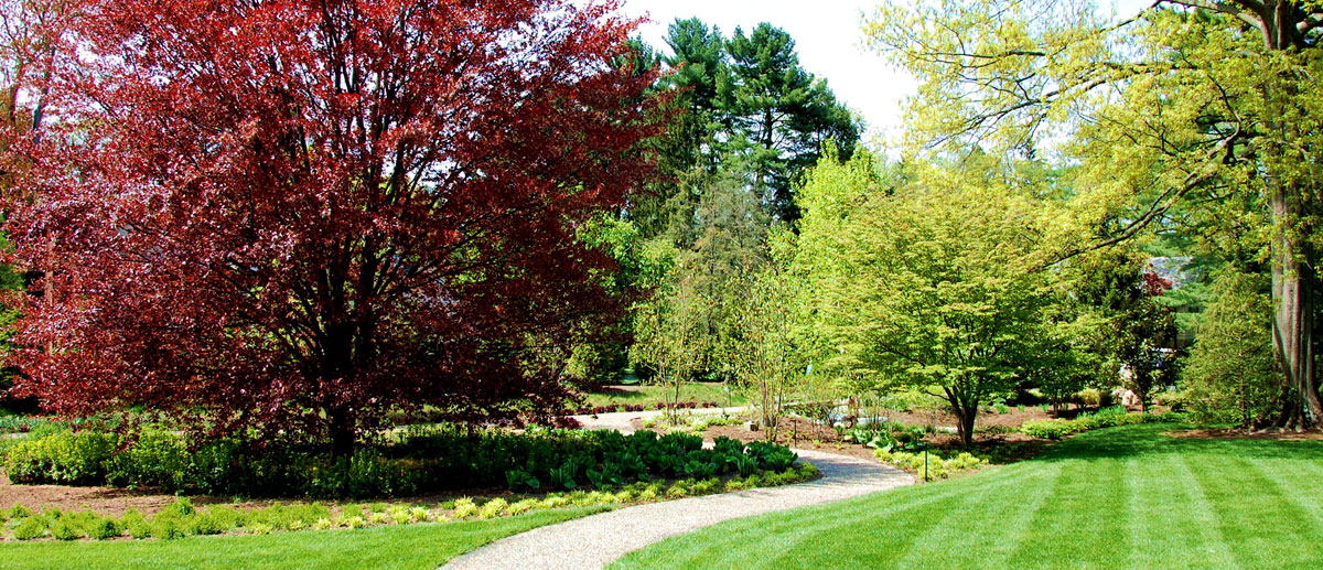 Landscaping Landscape Design Lancaster York West Chester Pa Serving Harrisburg Mechanicsburg York Lancaster West Chester And Reading Pa As Well Delaware County Landscaping